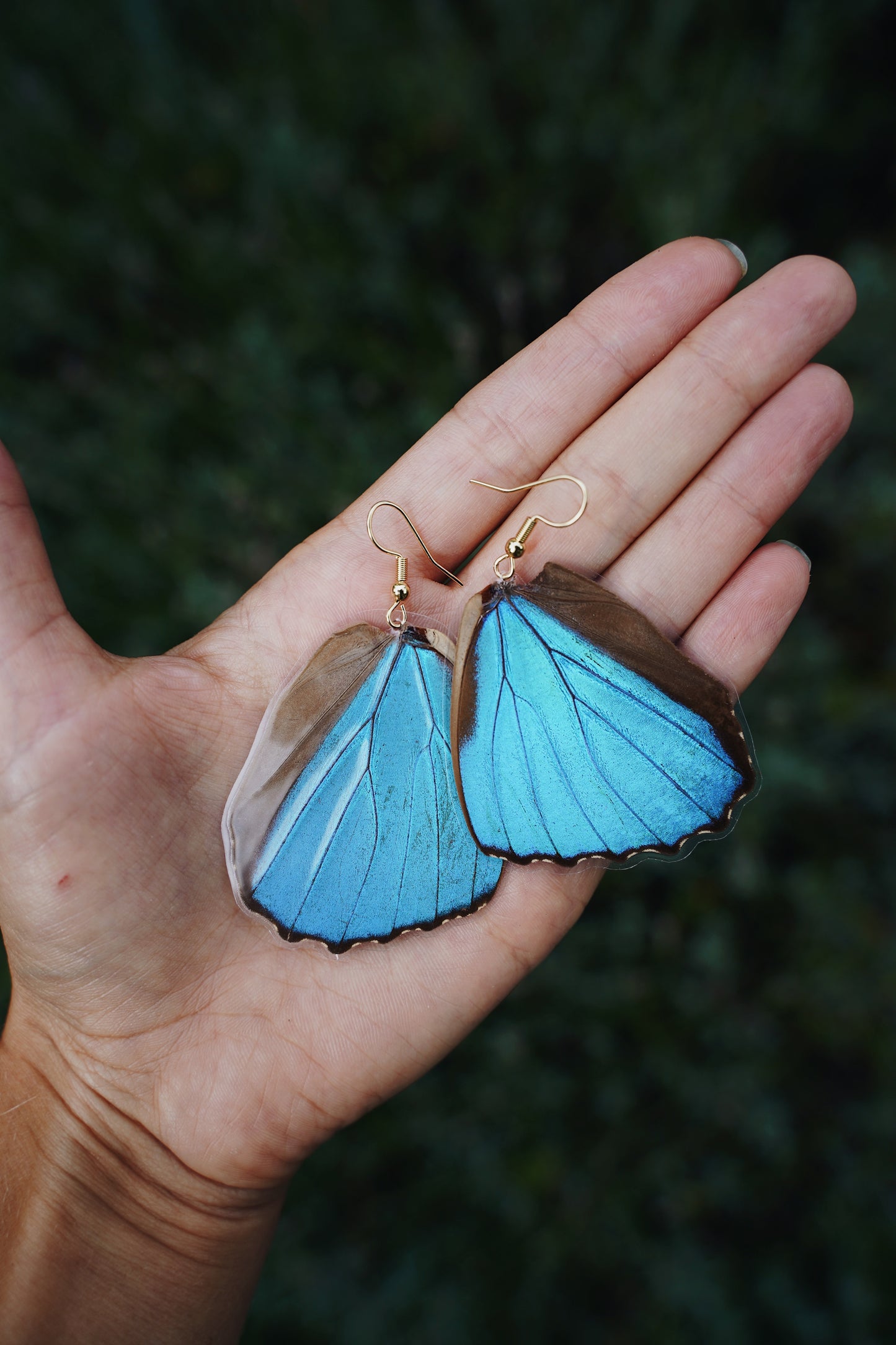 Blue Morpho Earring - Moonpetal Wings