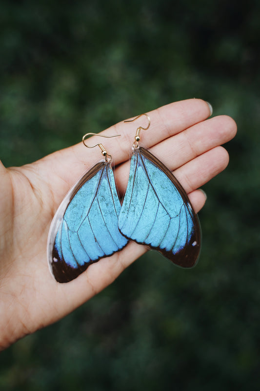 Blue Morpho Earrings - Teardrop Wings